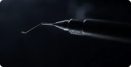Realistic Surgical Simulation